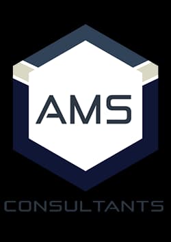 AMS Consultants